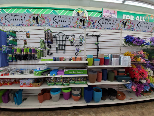 Dollar Store «Dollar Tree», reviews and photos, 600 S St W, Raynham, MA 02767, USA