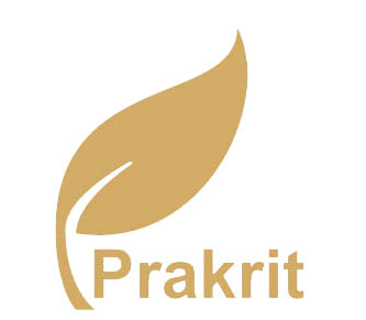 Prakrit Industries