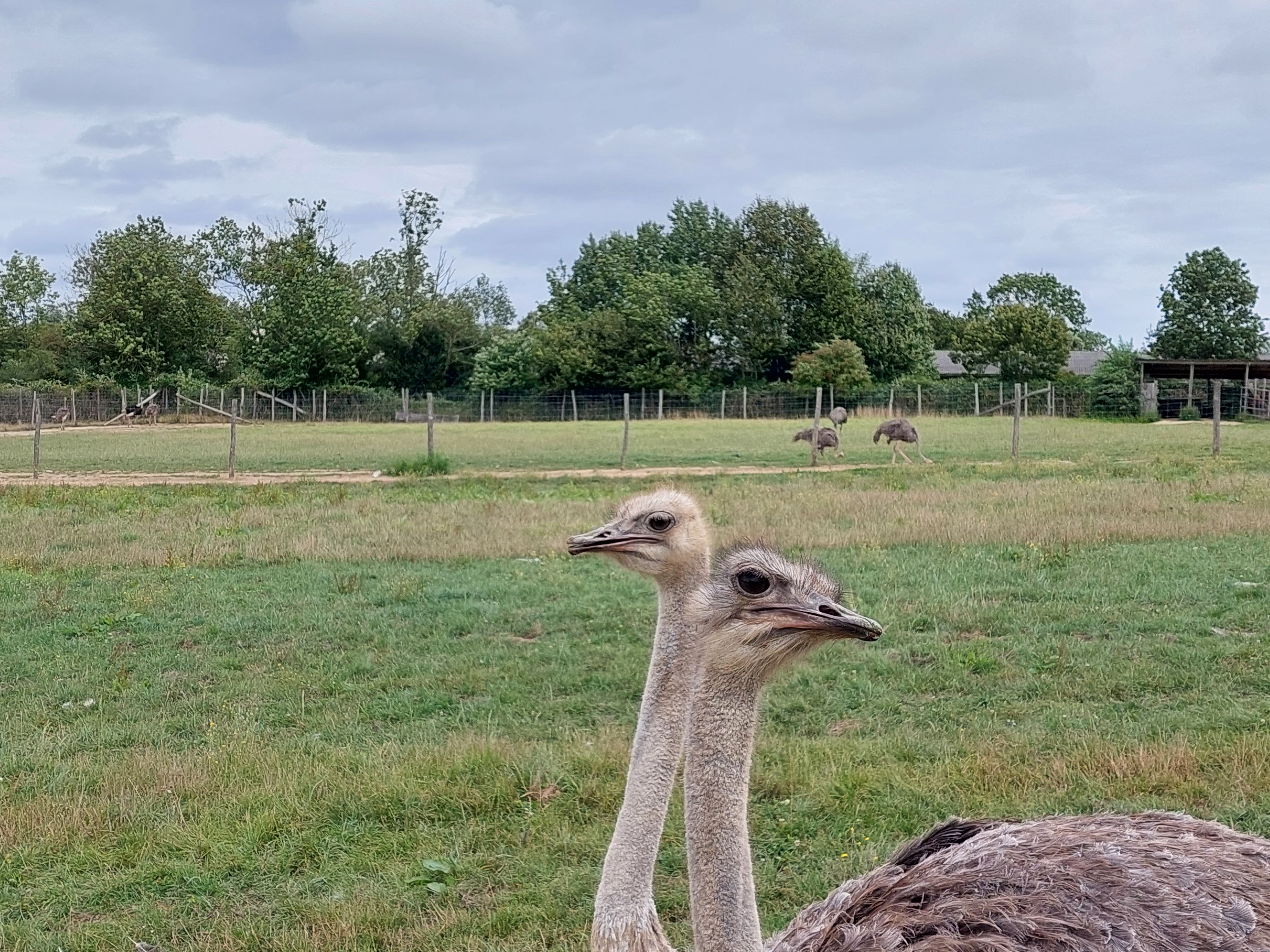 Photo n° 7 de l'avis de Mimi.i fait le 02/08/2023 à 16:57