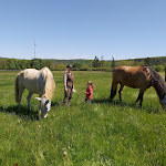Photo n°1 de l'avis de Mariele.h fait le 17/07/2019 à 16:27 sur le  Hof Liebeneck à Osterspai