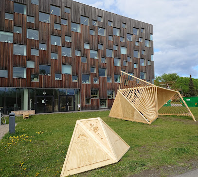 Umeå Universitet Arkitekthögskolan