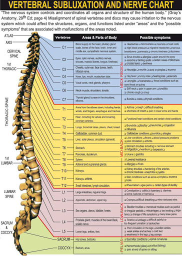 Chiropractor «Simmons Chiropractic Clinic», reviews and photos