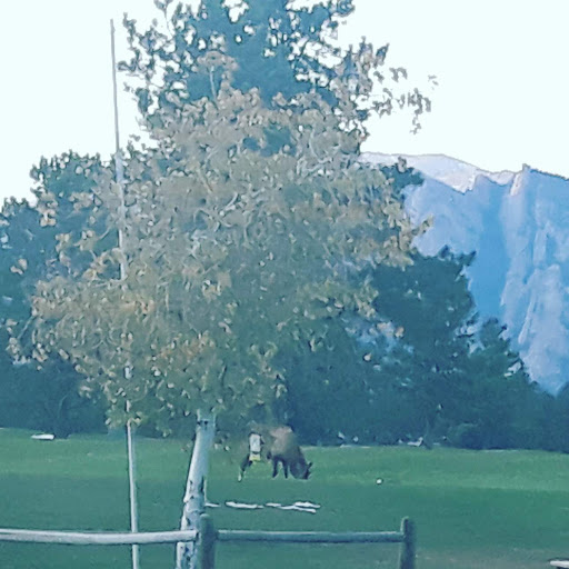 Golf Course «Estes Park Golf Course», reviews and photos, 1480 Golf Course Rd, Estes Park, CO 80517, USA