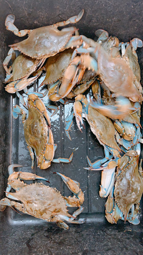 Asian Grocery Store «Phan Thiet Oriental Market», reviews and photos, 497 Schmale Road, Carol Stream, IL 60188, USA