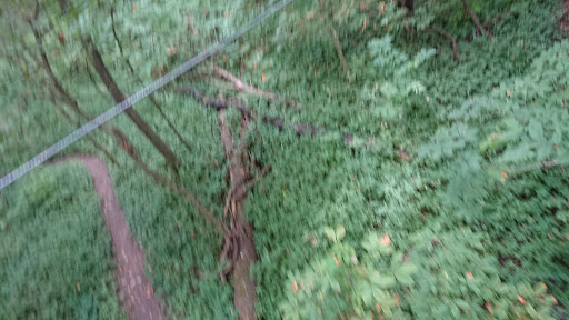 Adventure Sports «Edge Adventure Parks», reviews and photos, 11800 Koteewi Dr, Noblesville, IN 46060, USA