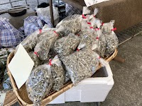 水俣漁師市