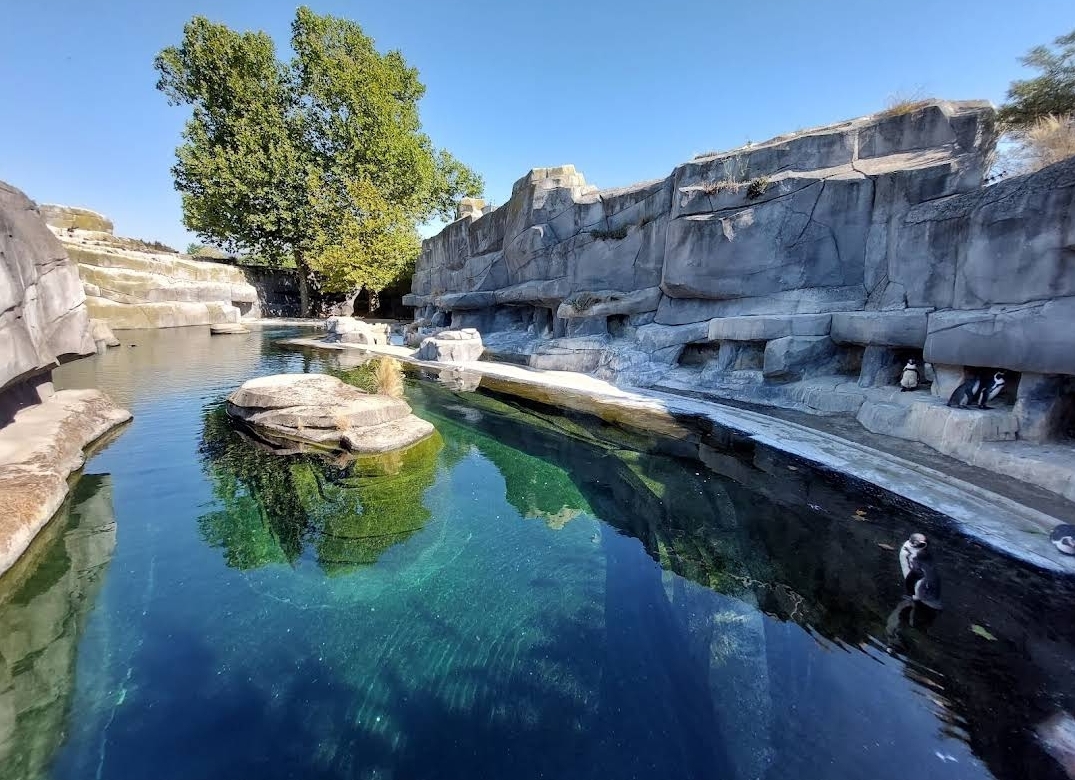 Photo n° 5 de l'avis de Sami.I fait le 26/09/2022 à 20:55