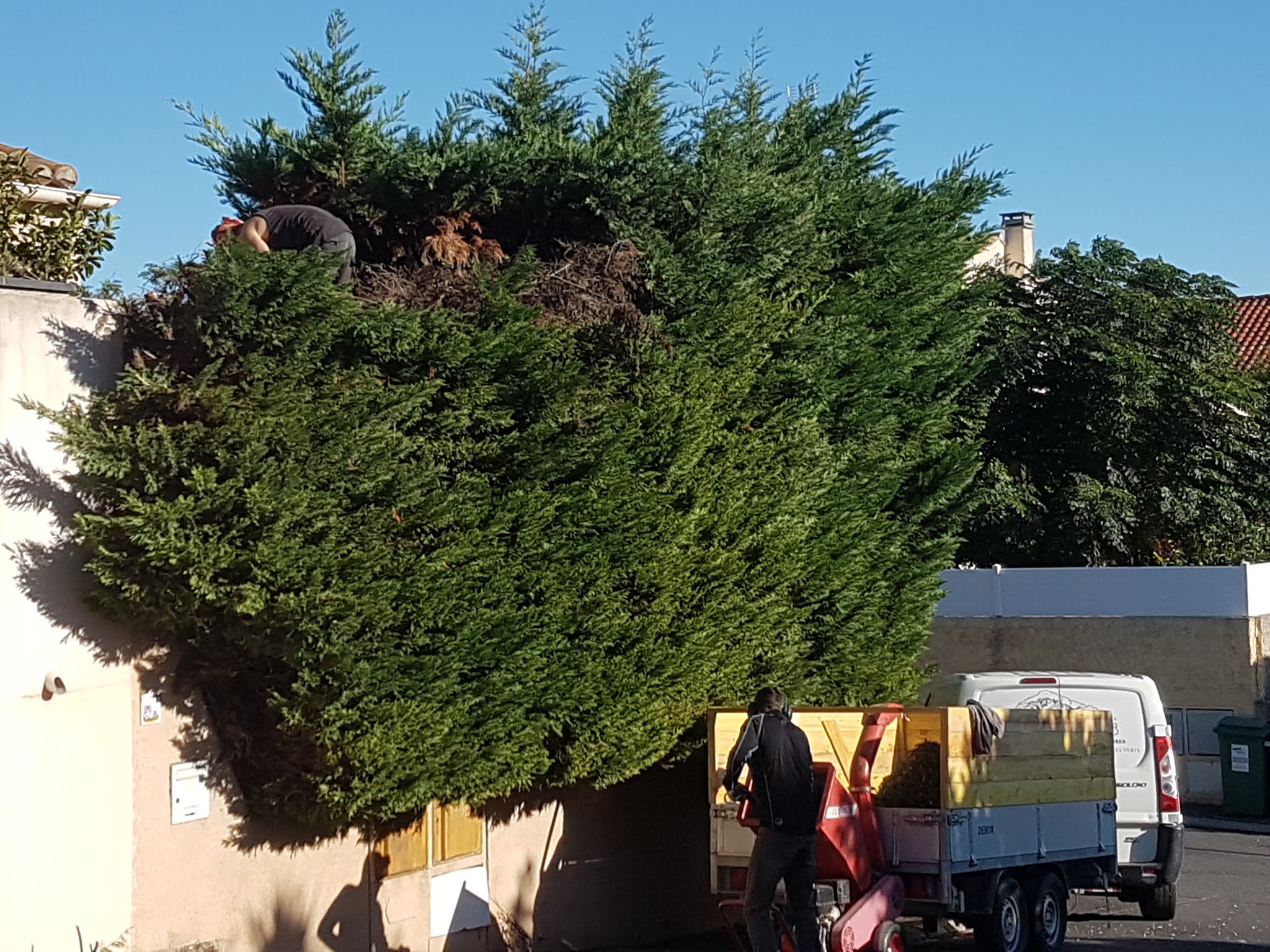 Photo n° 1 de l'avis de JC. fait le 14/10/2020 à 06:58