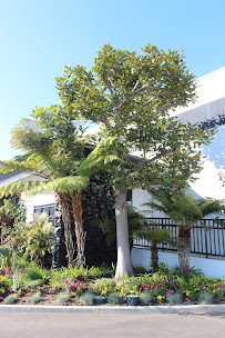 Jm Landscaping - Photo 4 - Car repair in , Long Beach