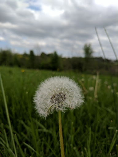 Park «East Goshen Township Park», reviews and photos, 1661 Paoli Pike, West Chester, PA 19380, USA