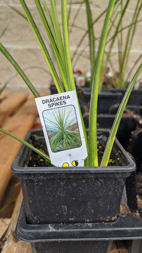 Hardware Store «Ace Park Ridge Inc», reviews and photos, 700 N Northwest Hwy, Park Ridge, IL 60068, USA