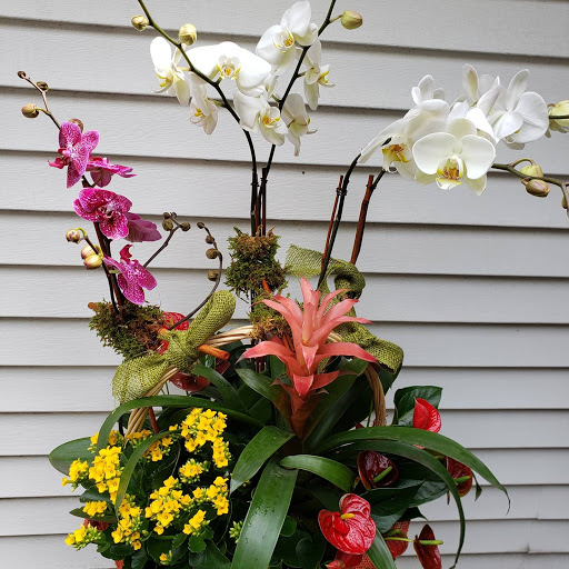Florist «Flowers By Renia & Gifts», reviews and photos, 6404 Fresh Pond Rd, Flushing, NY 11385, USA