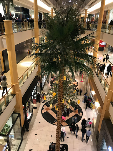 Department Store «Nordstrom Somerset Collection», reviews and photos, 2850 W Big Beaver Rd, Troy, MI 48084, USA