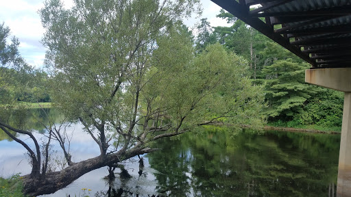 Park «Oakland Park», reviews and photos