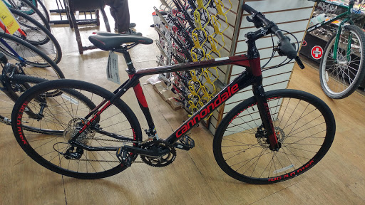 Bicycle Store «San Diego Bike Shop», reviews and photos, 619 C St, San Diego, CA 92101, USA