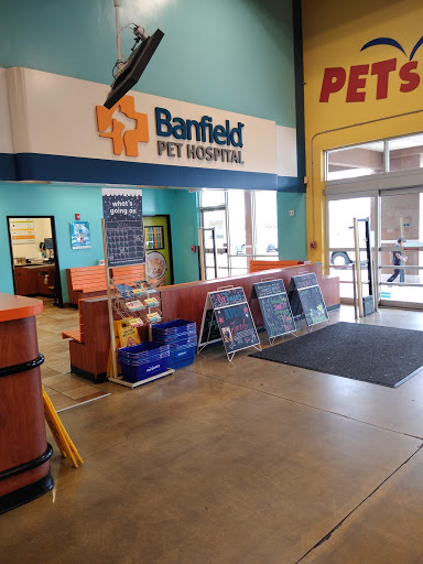 Pet Supply Store «PetSmart», reviews and photos, 14025 SW 88th St, Miami, FL 33186, USA