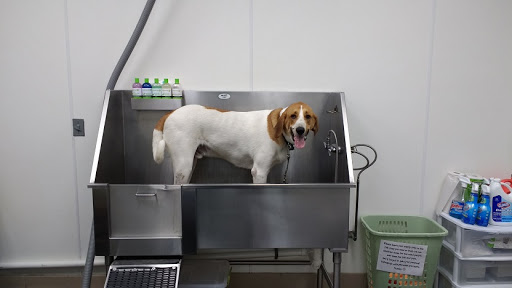 Pet Supply Store «Pet Supplies Plus», reviews and photos, 521 Noble Creek Dr, Noblesville, IN 46060, USA