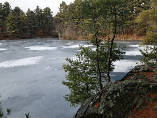 Nature Preserve «Maltby Lakes», reviews and photos, Derby Turnpike, West Haven, CT 06516, USA