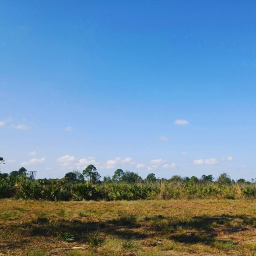 Recreation Center «North Fort Myers Recreation Center», reviews and photos, 2000 N Recreation Park Way, North Fort Myers, FL 33903, USA