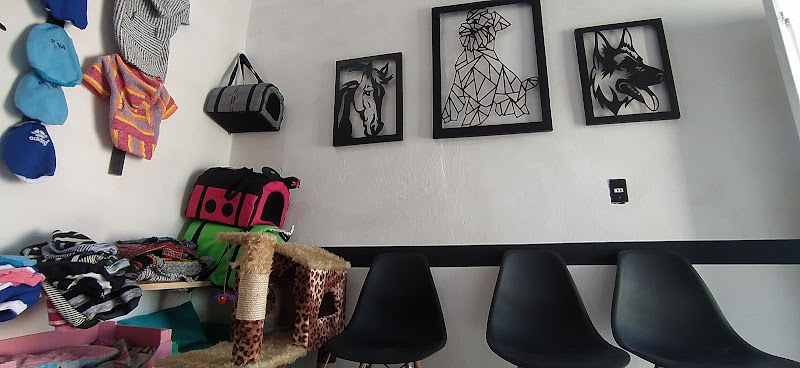 Hospital Veterinario Tepeapulco