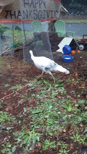 Park «Marvista Park», reviews and photos, 19990 4th Ave SW, Normandy Park, WA 98166, USA