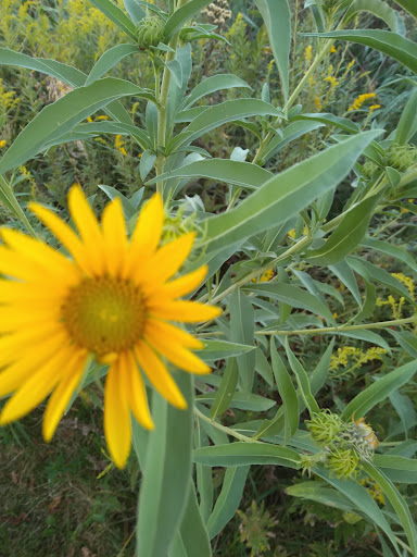 Banquet Hall «Quail Ridge Lodge», reviews and photos, 24 Columbine Ln, Wentzville, MO 63385, USA