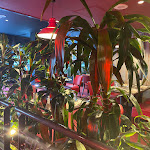 Photo n° 3 de l'avis de Frédéric.c fait le 26/02/2023 à 19:15 pour Hippopotamus Steakhouse à Meudon