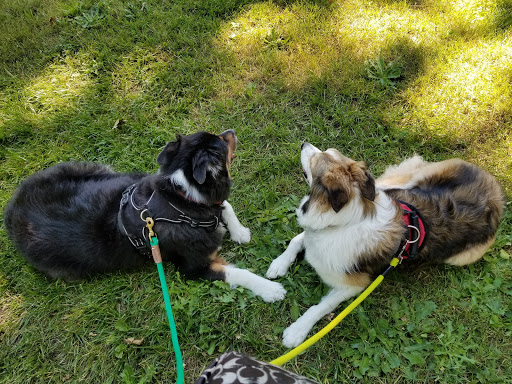 Park «Shadywood Park», reviews and photos, 535 NE 24th Ave, Hillsboro, OR 97124, USA