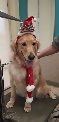 Pet Supply Store «Petco Animal Supplies», reviews and photos, 597 Hebron Rd #2, Heath, OH 43056, USA