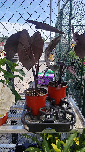 Hardware Store «Jeds Hardware», reviews and photos, 5415 Aldine Mail Rte Rd, Houston, TX 77039, USA