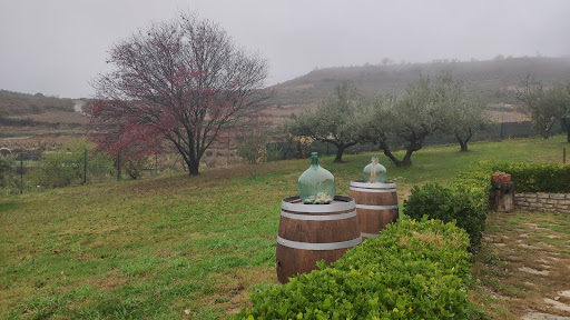 Bodegas Pavoni - Vpeltegi Kalea, 41, 01306 Lapuebla de Labarca, Araba