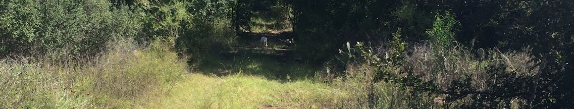 Fair Oaks Ranch, Texas