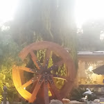 Photo n°2 de l'avis de Francesca.u fait le 15/08/2019 à 23:28 sur le  Ristorante La Querida à Rome