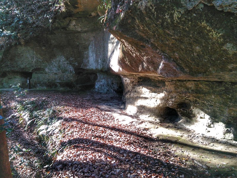 唐御所横穴 栃木県那珂川町和見 史跡 グルコミ