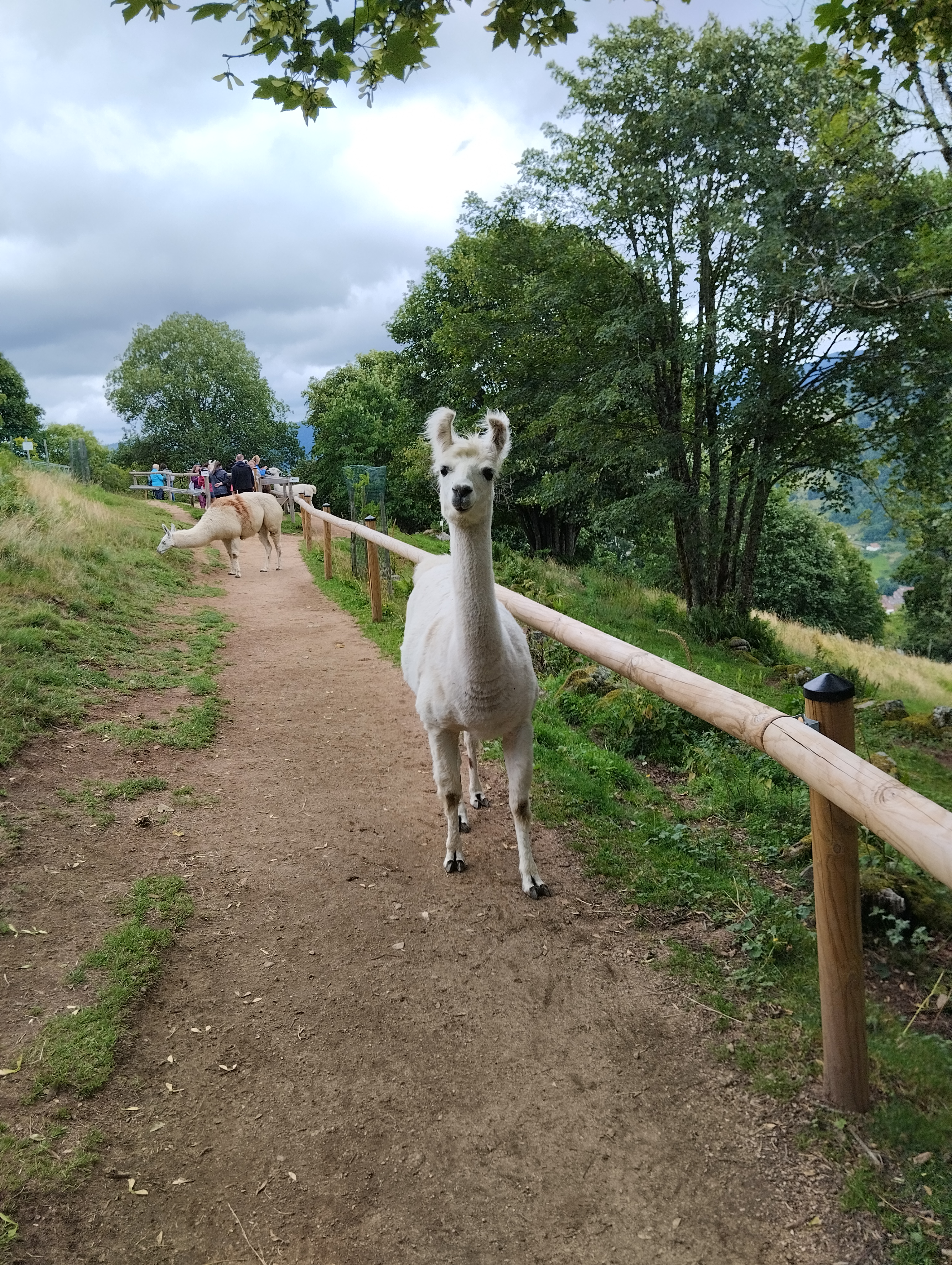 Photo n° 2 de l'avis de isabelle.a fait le 29/07/2023 à 11:22