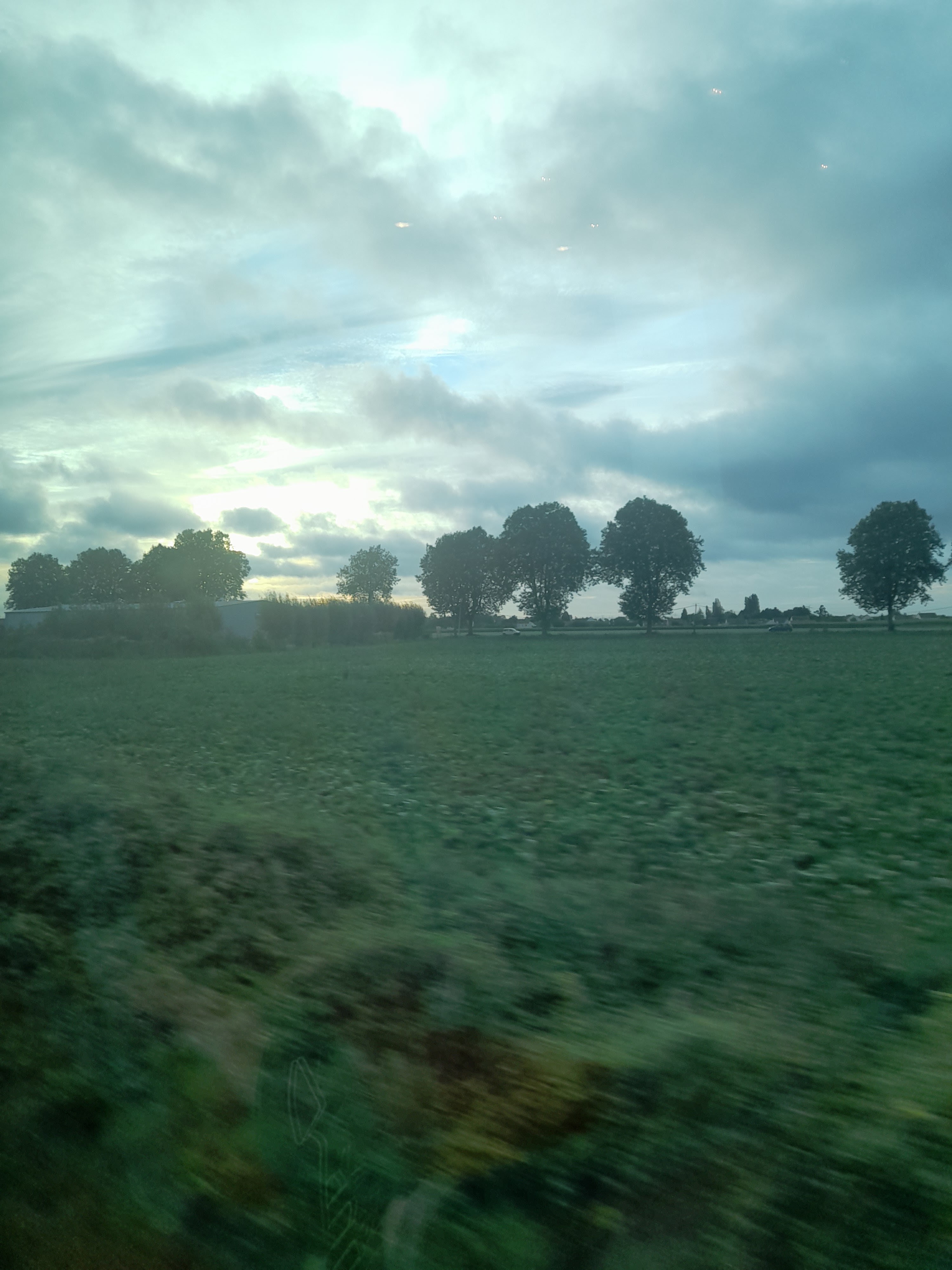 Photo n° 19 de l'avis de Pedro.a fait le 16/10/2023 à 07:18