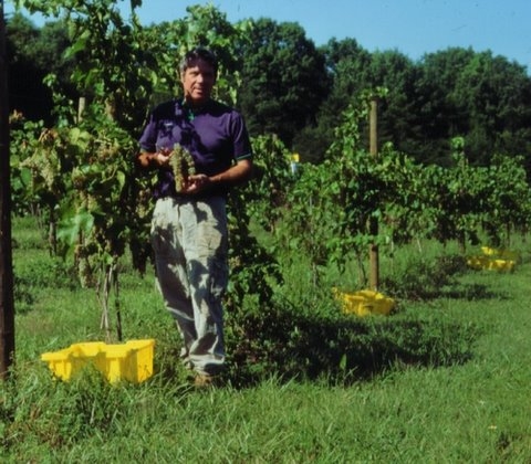 Wine Store «Grayhaven Winery», reviews and photos, 4675 E Gray Fox Cir, Mineral, VA 23117, USA