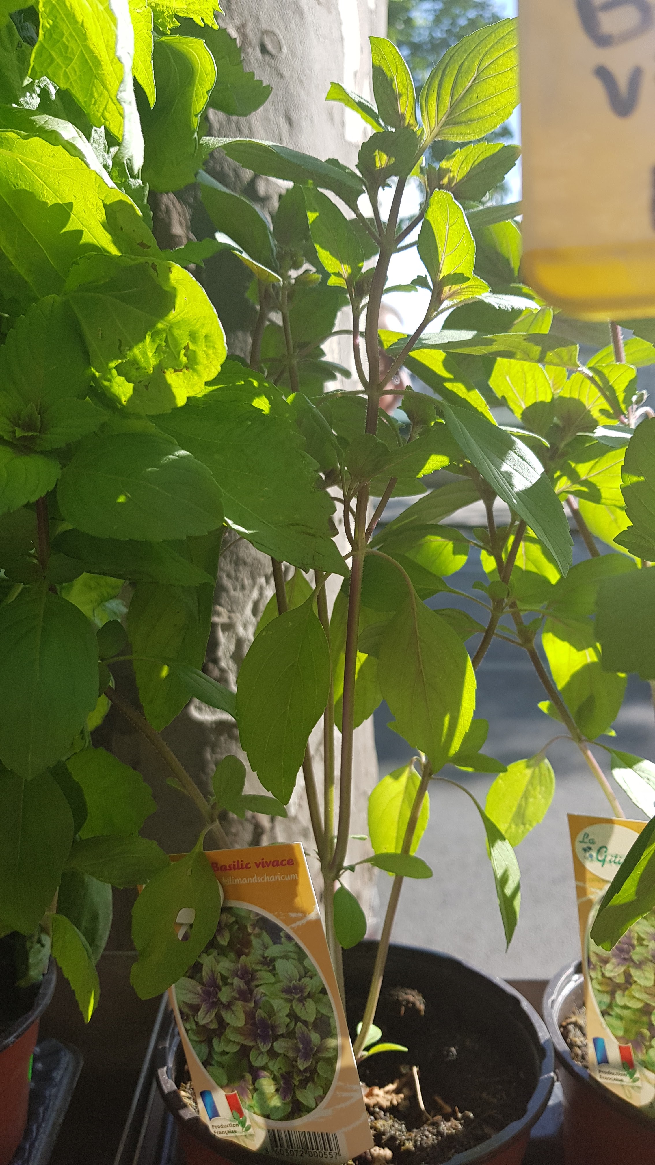 Photo n° 3 de l'avis de Cheri.a fait le 23/05/2020 à 16:34
