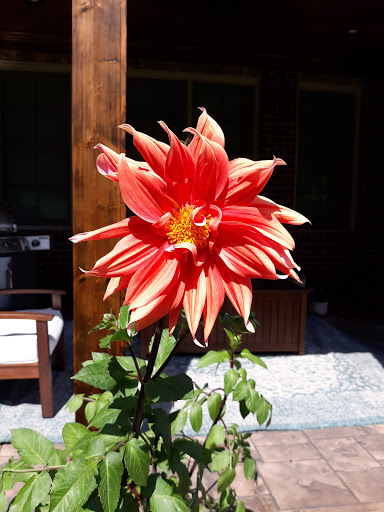 Golf Club «Willow Creek Golf Club», reviews and photos, 12003 Kingston Pike, Knoxville, TN 37934, USA