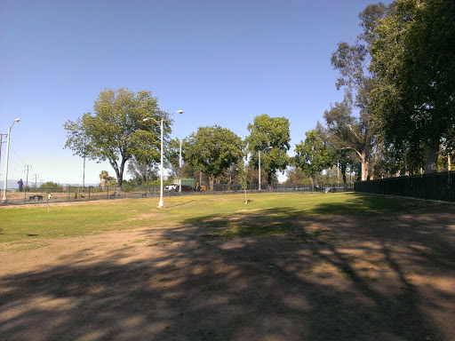 Carlson Park