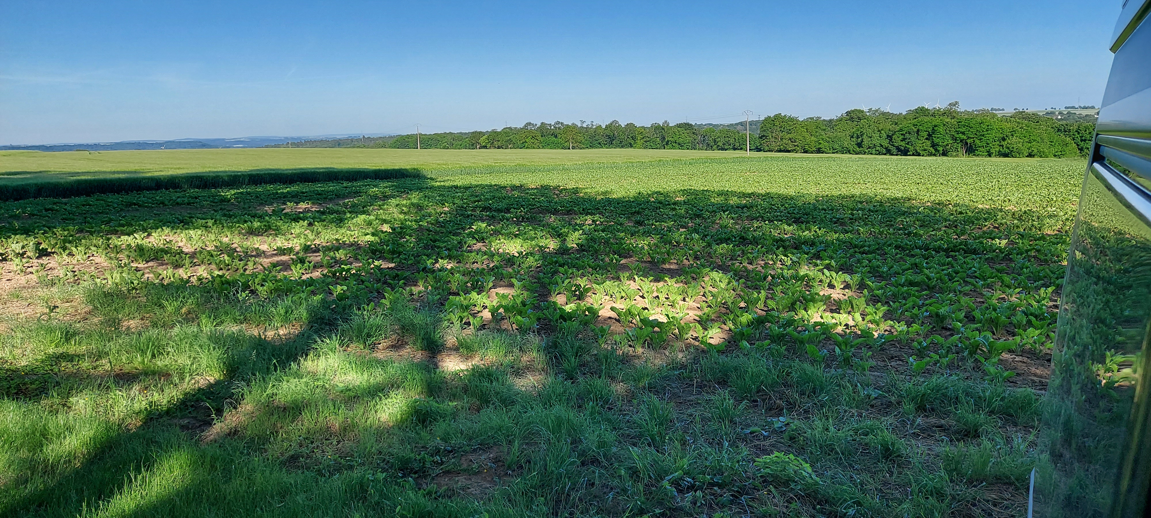 Photo n° 6 de l'avis de Cathe.f fait le 12/07/2019 à 14:39