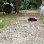 Photo n° 1 de l'avis de MOURAGUES.a fait le 29/07/2021 à 18:45 pour Camping rural Le Relais des Garennes à Montbert