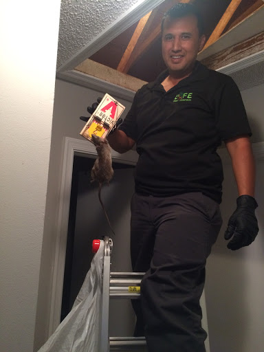 Pest Control Service «Life Pest Control», reviews and photos