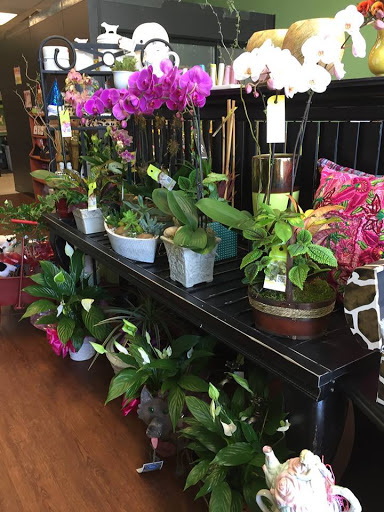 Florist «Enchanted Florist & Gifts», reviews and photos, 9140 Alcosta Blvd B, San Ramon, CA 94583, USA
