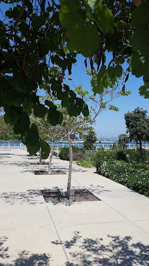 Coronado Community Center - photo 73