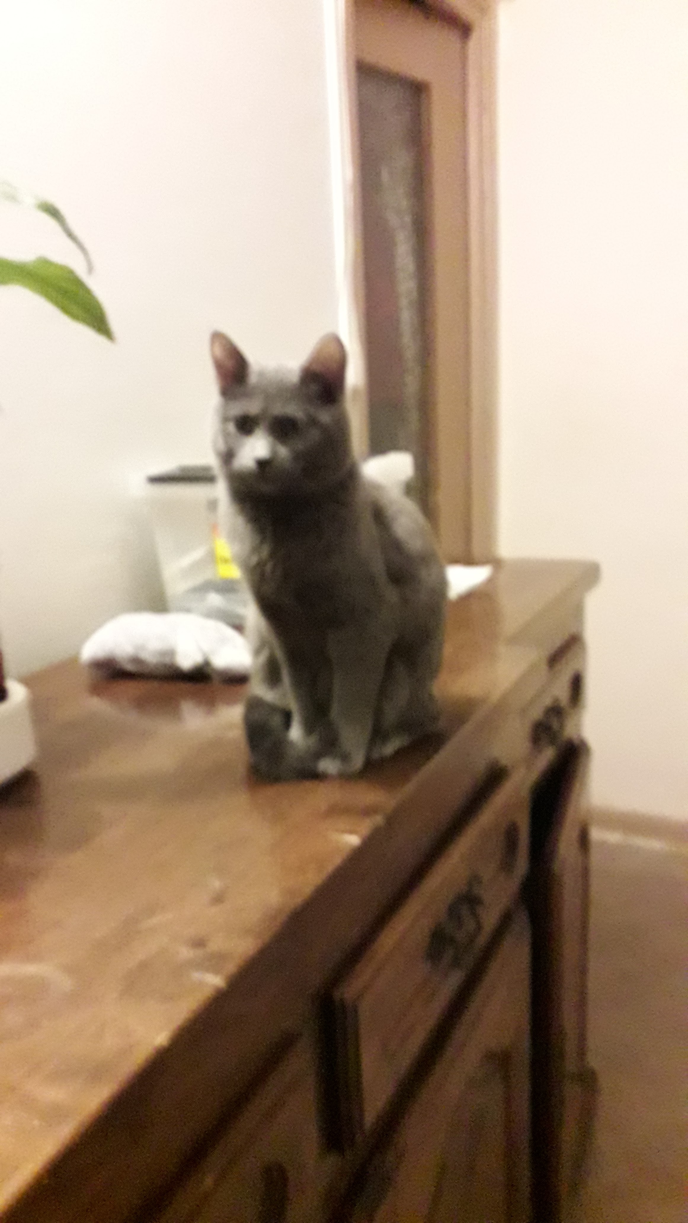 Photo n° 4 de l'avis de Dolo.a fait le 15/03/2024 à 20:17