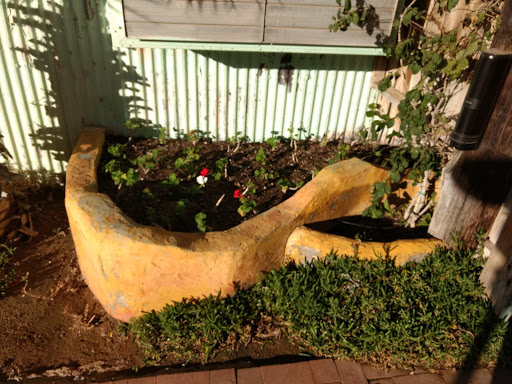 Wedding Venue «Boojum Tree», reviews and photos, 16026 N 36th St, Phoenix, AZ 85032, USA