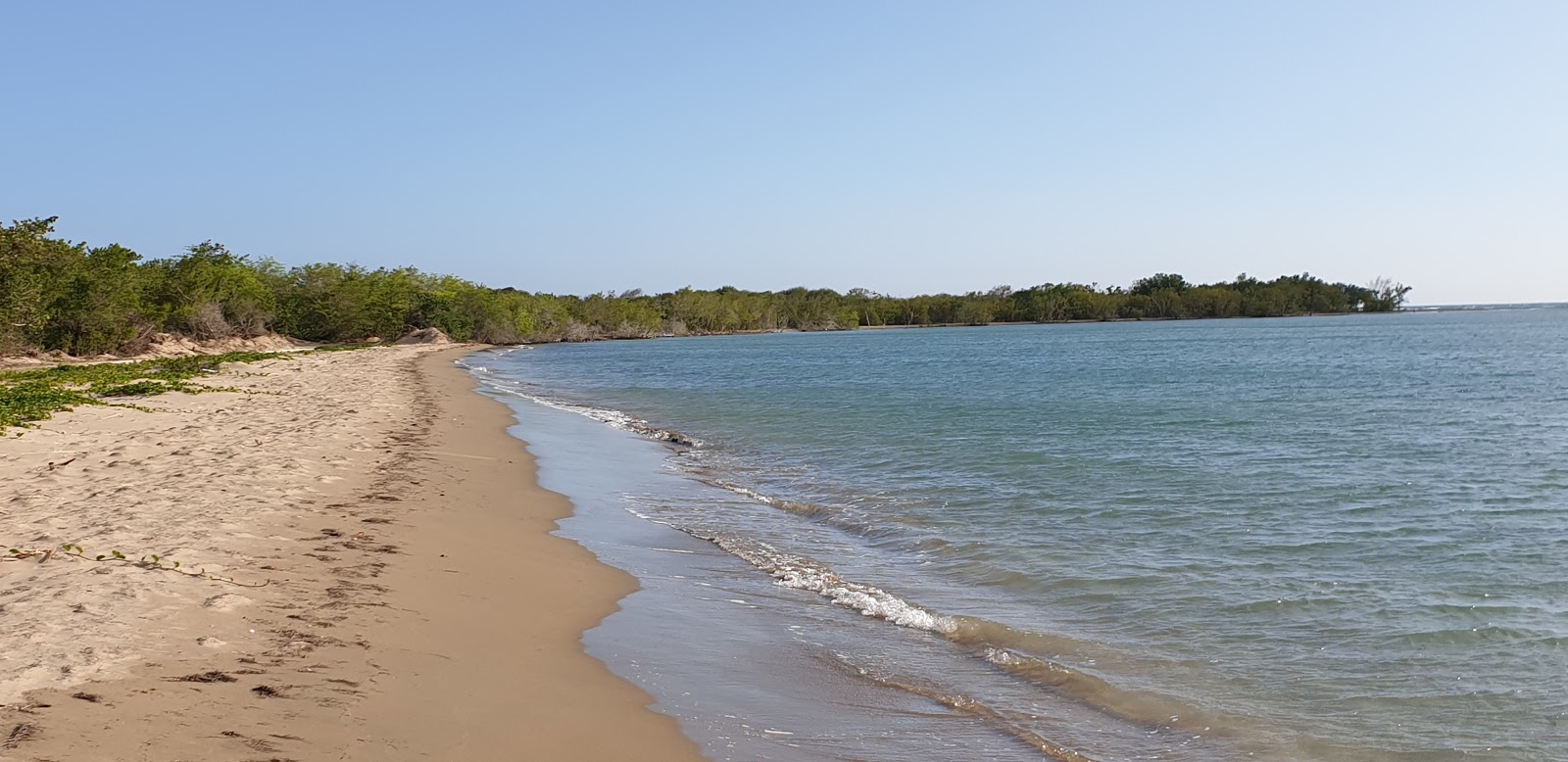 Photo of Parotee Free Beach with long straight shore