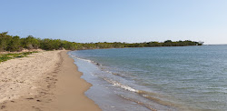 Parotee Free Beach'in fotoğrafı çok temiz temizlik seviyesi ile