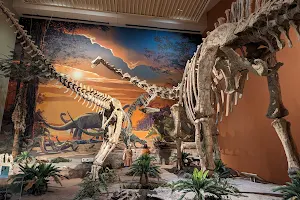 New Mexico Museum of Natural History and Science image